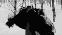 /habitual banner