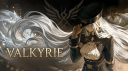 Valkyrie server banner
