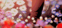eren @ray banner