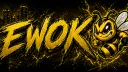 🐝EWOK banner