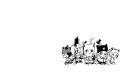 The Nine Lives Society Discord server banner