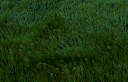/stud backup banner
