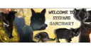 Stefans Sanctuary banner