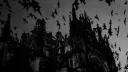 𝔑𝔬𝔠𝔱𝔲𝔯𝔫𝔢 ℭ𝔞𝔣é Discord server banner