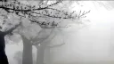 /sinister server banner