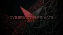 CyberVictim - Roblox Server Crasher banner