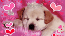 𐔌 pupz .ᐟ.੭ | J2L = BAN | FREE UGC RN banner