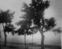 𝗡𝗔𝗢 𝗘𝗡𝗧𝗥𝗘🫦 Server Banner