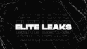 Elite Leaks | Road to 500 banner
