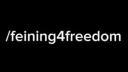 /feining server banner