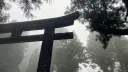 /speak banner