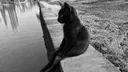 Ponder ✦ 18+ server banner