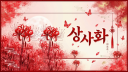 상사화