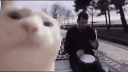 Silly server ཐི⋆♱⋆ཋྀ server banner