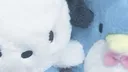 @ . /matzify . !◞ dj2l . p4p #revamp server banner