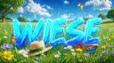 Wiese | Chil・l Vc・Gaming・Chat・Social banner