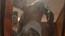 DZ8 Server Banner