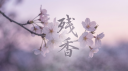 잔향 (殘香)
