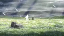 The Goats Discord server banner