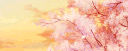 ˚౨ৎ˚₊ dollhouse server banner