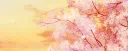 ˚౨ৎ˚₊ dollhouse server banner