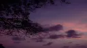 Lya 🌺 #pv banner