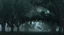 𝕿𝐕𝐃𝐔  :  𝕾𝐋𝐄𝐄𝐏𝐘 𝕳𝐎𝐋𝐋𝐎𝐖，𝕹𝐘 server banner