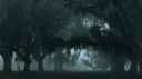 ๐ฟ๐๐๐ : ๐พ๐๐๐๐๐ ๐ณ๐๐๐๐๐๏ผ๐น๐ Discord server banner