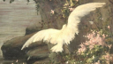 ᤴ   YᑌᗰE ᖴᒪOᑕK!  🕊  ᘓ  .    (  13+  ) server banner
