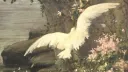 ᤴ YᑌᗰE ᖴᒪOᑕK! 🕊 ᘓ . ( 13+ ) Discord server banner