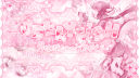 :¨ ·.· ¨: ꒰  𖹭   〬   Jellyfish YumeLove ִ  ♡'𝓼  Art & Yumeship   ꒱     ׄ      ֪ server banner