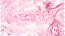 :¨ ·.· ¨: ꒰ 𖹭 〬 Jellyfish YumeLove ִ ♡'𝓼 Art & Yumeship ꒱ ׄ ֪ Discord server banner