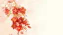 ꣑ 𓈒ׄ   lucყ server banner