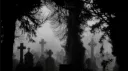 𝐡𝐚𝐮𝐧𝐭𝐞𝐝 𓉸 server banner