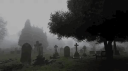 ᭝ ᨳଓ ՟ 𝘼𝙯𝙪𝙧𝙚𝙣𝙖 | 𝙎𝙤𝙘𝙞𝙖𝙡 | 𝙑𝘾 | 𝘿𝙚𝙘𝙤𝙧 ⋆˚࿔ server banner