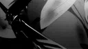 katana 𓂃 chatting ⋆ social ⋆ active community ⋆ hangout ⋆  sfw server banner