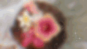 ˚₊   ⋆  ℓuéur  𓏲 server banner