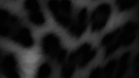 _•𝐒𝐥𝐮𝐦𝐛 𝐒𝐨𝐜𝐢𝐞𝐭𝐲•_ Discord server banner