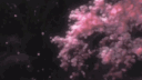 poser server banner