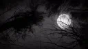 /lunacy Discord server banner