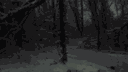 SVOP ⊹ lfg ⊹ vc ⋆ gaming ⋆ friends server banner