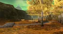 SUNLIT HILL server banner
