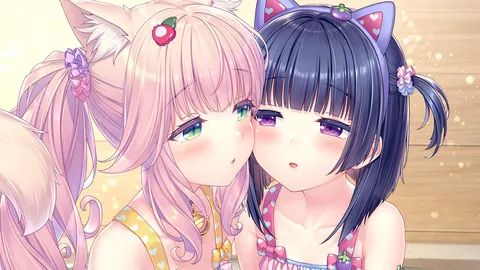 Novel Enjoyer FR banner