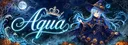 Aqua#1976 banner