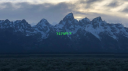 YZYGOLD server banner
