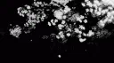 addicting's services server banner