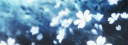 ! - Kokoa <3#3976 banner