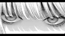 NITRO | Dresdemise' Services & Guides server banner