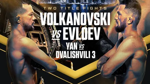 The UFC Server banner