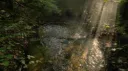 No Beta, We Die Like Men server banner